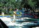 Crikvenica apartments